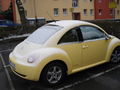 Beetle-erster-schnee.jpg